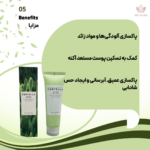 فوم شستشوی لایه بردار ضدجوش تی تریکا اسکین 1004 حجم 125 میلی لیتر Skin 1004 Madagascar Centella Tea Trica BHA Foam 125 ML - تصویر 5